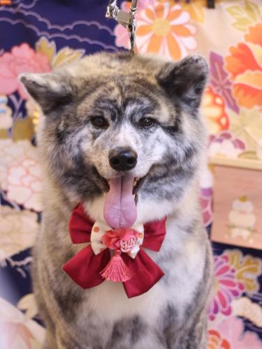 20240117むぎくん